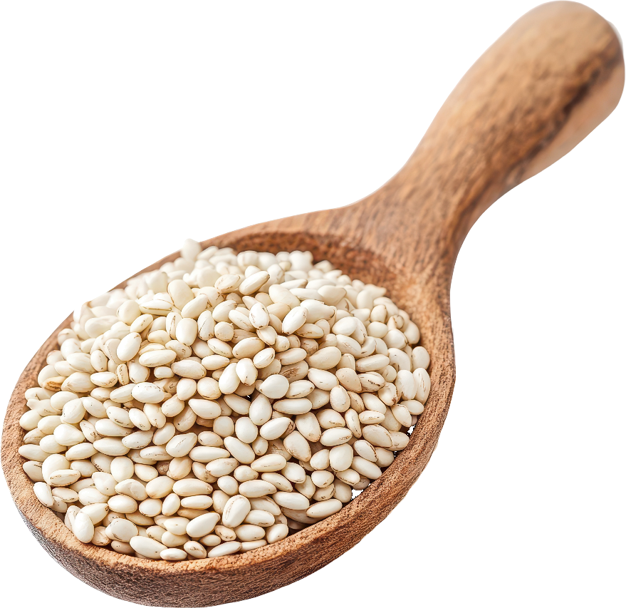Sesame Oil